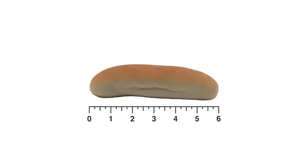 Maranto Bakery Hot Dog Roll